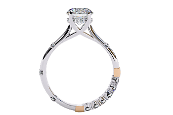 Shakun Engagement Ring Shakun Engagement Ring