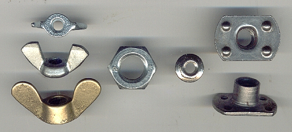 Shell Nut - HSN 73181500