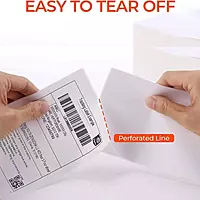 RN1919U - Shipping Label Top Coated- 4X6 inch - 100X150 mm - 1 Inch Core - 1 Up - Direct Thermal