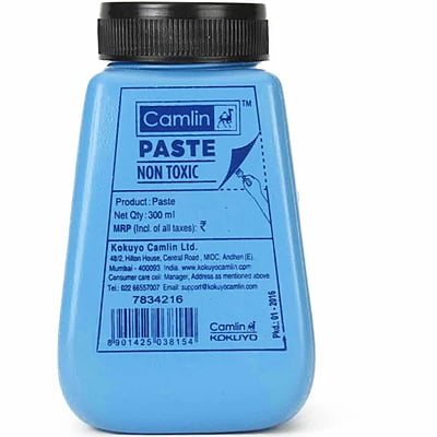 Camlin Glue Paste 300gm