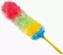 Feather Duster