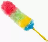 Feather Duster