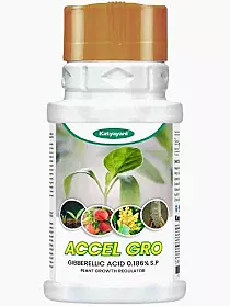 Katyayani Accel gro (Gibberellic Acid 0.186% SP) Growth Regulators