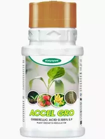 Katyayani Accel gro (Gibberellic Acid 0.186% SP) Growth Regulators