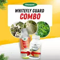 KATYAYANI CHILLI WHITEFLY & LEAF CURL CONTROL KIT