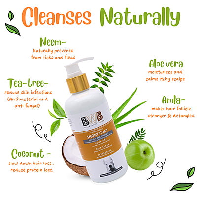 BWB SHORTCOAT SHAMPOO BWB SHORTCOAT SHAMPOO