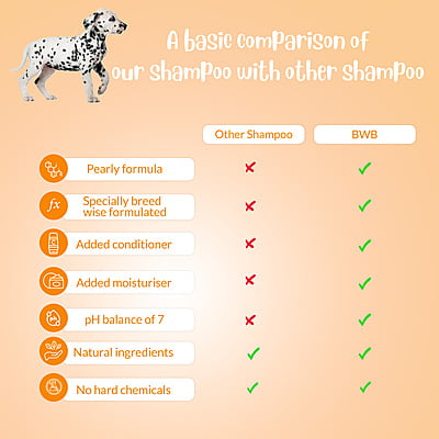 BWB SHORTCOAT SHAMPOO BWB SHORTCOAT SHAMPOO