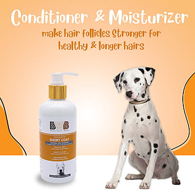 BWB SHORTCOAT SHAMPOO BWB SHORTCOAT SHAMPOO