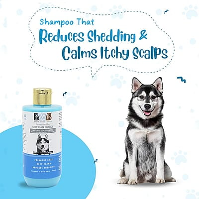 BWB SIBERIAN HUSKY SHAMPOO_250ML BWB SIBERIAN HUSKY SHAMPOO_250ML