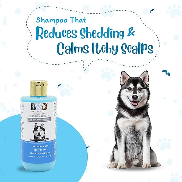 BWB SIBERIAN HUSKY SHAMPOO_250ML BWB SIBERIAN HUSKY SHAMPOO_250ML