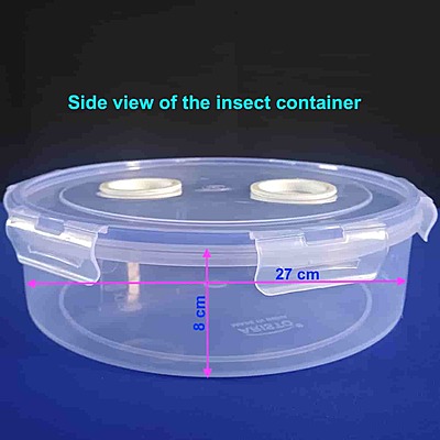 Insect Rearing Container Large 3lit with Double Aeration Holes and Secure Locking Lid