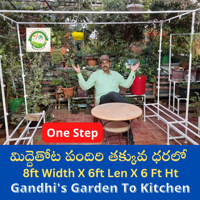 Midde thota Pandiri మిద్దెతోట పందిరి 8feet width X 6feet length X 6ft Height