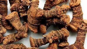 CHITHARATHAI / KULANJAN / LESSER GALANGAL ROOT