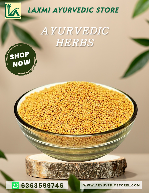 Bili Sasive- White mustard-Sinapis Alba