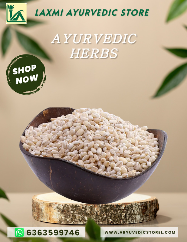 Barley-Hordeum Vulgare