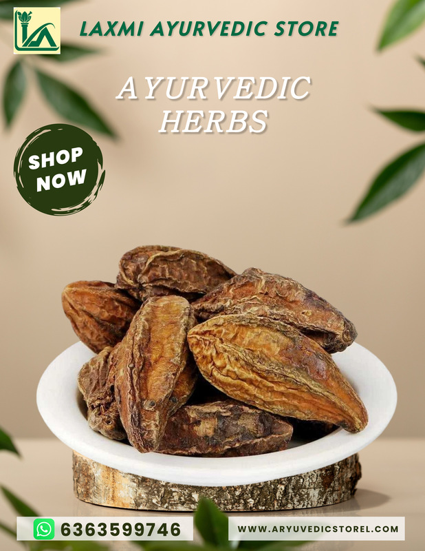 Anile Kayi-Haritaki – TERMINALIA CHEBULA