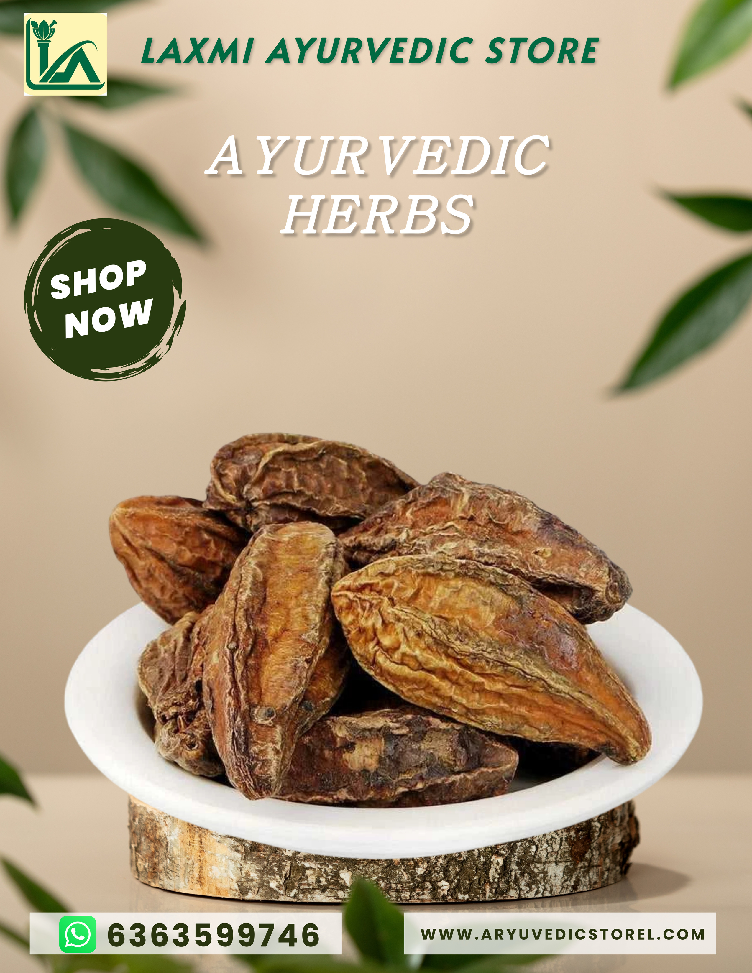 Anile Kayi-Haritaki – TERMINALIA CHEBULA