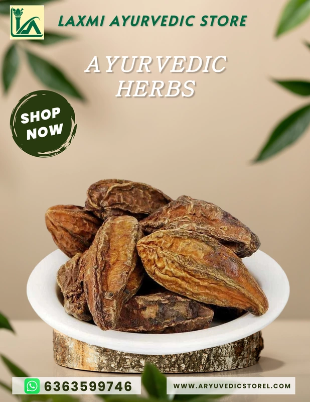 Anile Kayi-Haritaki – TERMINALIA CHEBULA