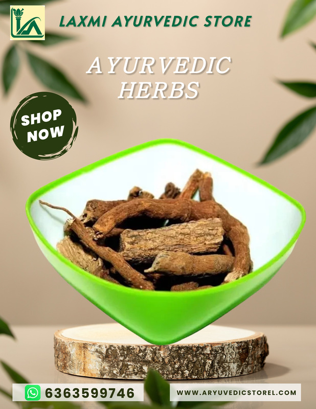 Ishwara Beru - ARISTOLOCHIA INDICA