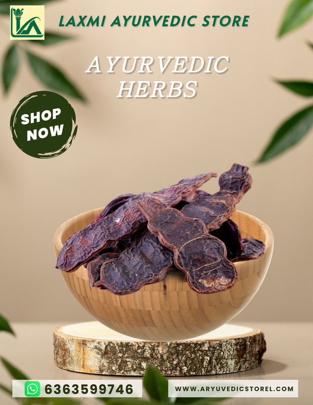 Seege Kaayi - Acacia Concinna