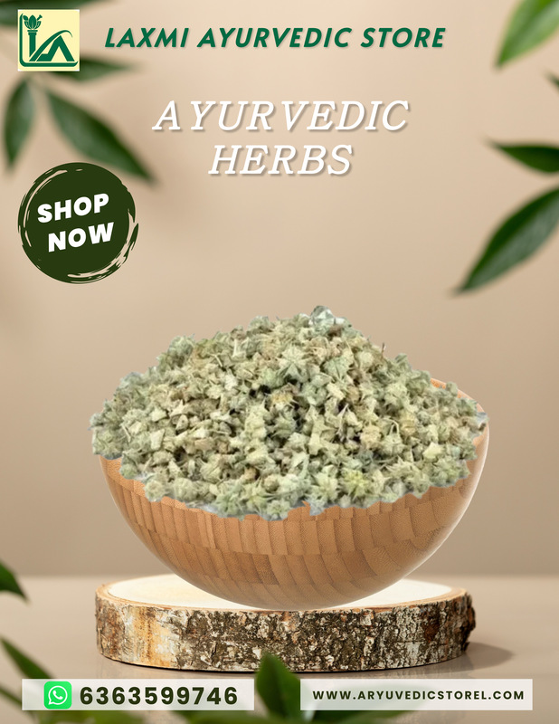 Neggina Mullu-Tribulus Terrestris