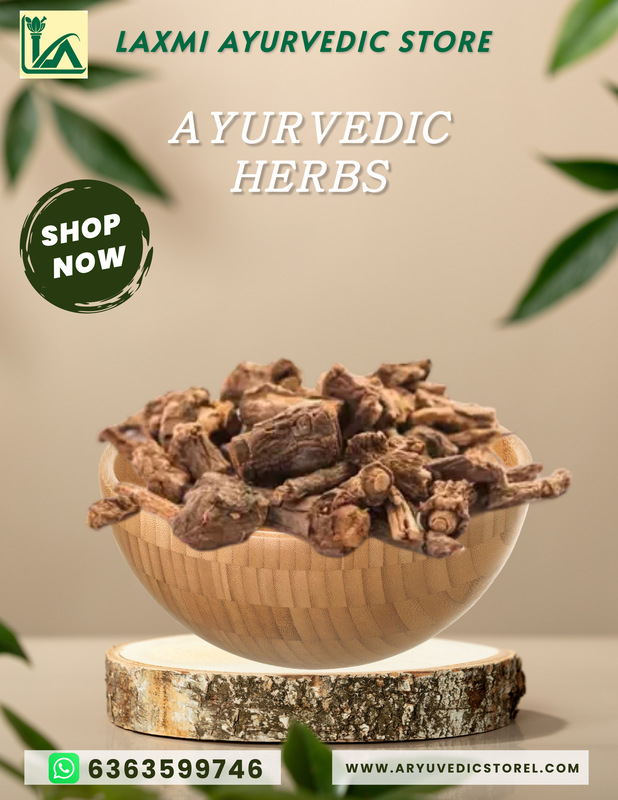 Sugandhi Root - Hedychium coronarium