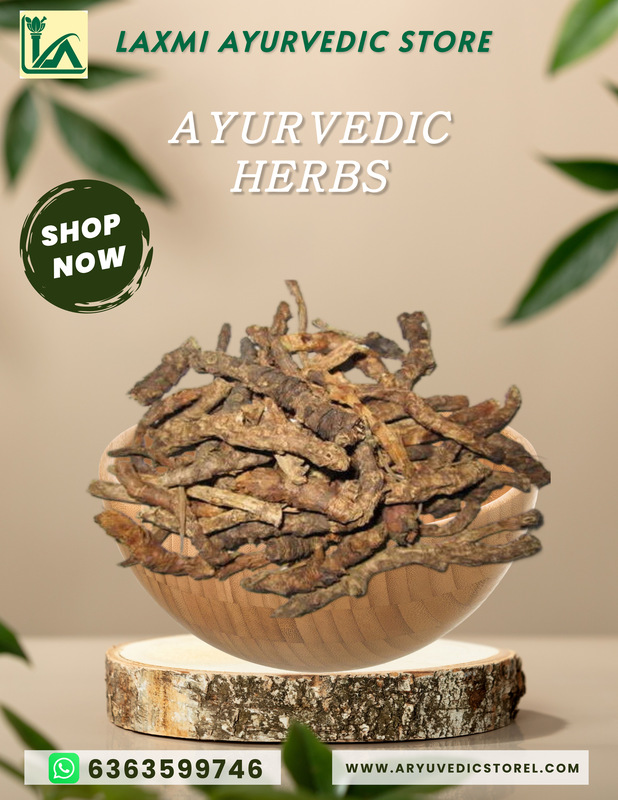 Katuka Rohini - Picrorhiza Kurroa