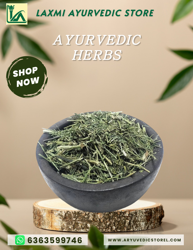 Kiratha Kaddi-Andrographis Paniculata