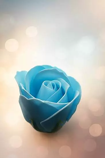Artificial Rose Sky Blue