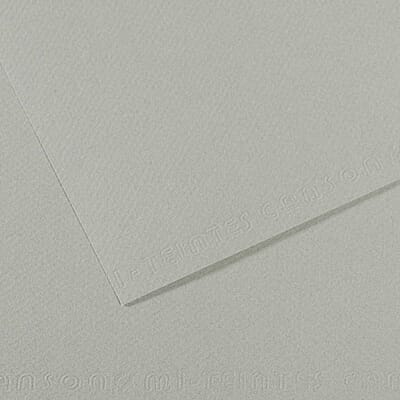 CANSON MI-TEINTES PAPER 354- Sky grey PK OF 10