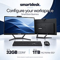 SmartDesk Business Core 3 100U All-in-One PC