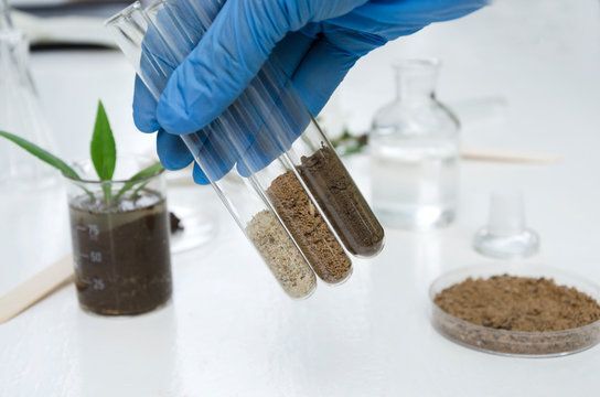 Soil Fertility Testing Service