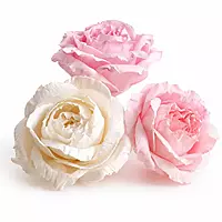 sola wood flower dry flowers single rose for decor, handmade natural boho floral display leafndeor sola wood flower dry flowers single rose for decor, handmade natural boho floral display leafndeor