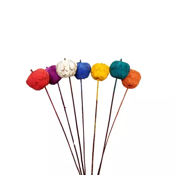 Eco-friendly multicolor sola apple flower sticks for floral décor, crafts, bouquets, and vase style