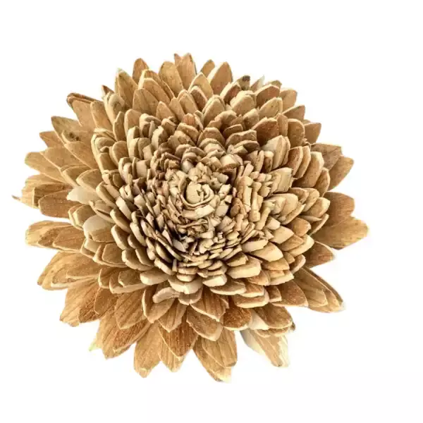 Natural sola bark zinnia wood flower for rustic crafts, eco-friendly decor and bouquets