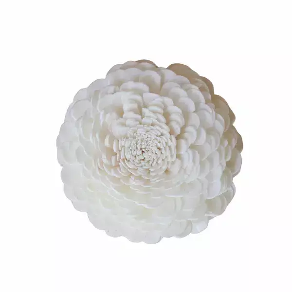 Handcrafted sola belli flower with natural ivory petals for eco-friendly décor, bouquets, and crafts