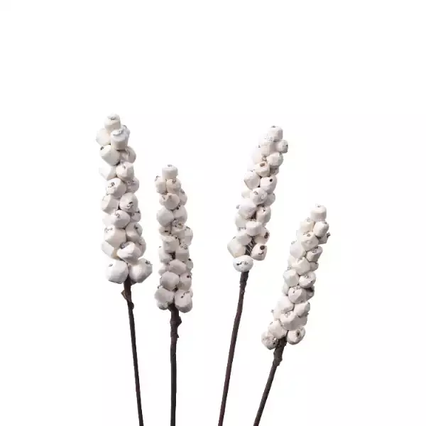 Sola berries stick white and colored natural decorative craft for home décor and floral arrangements