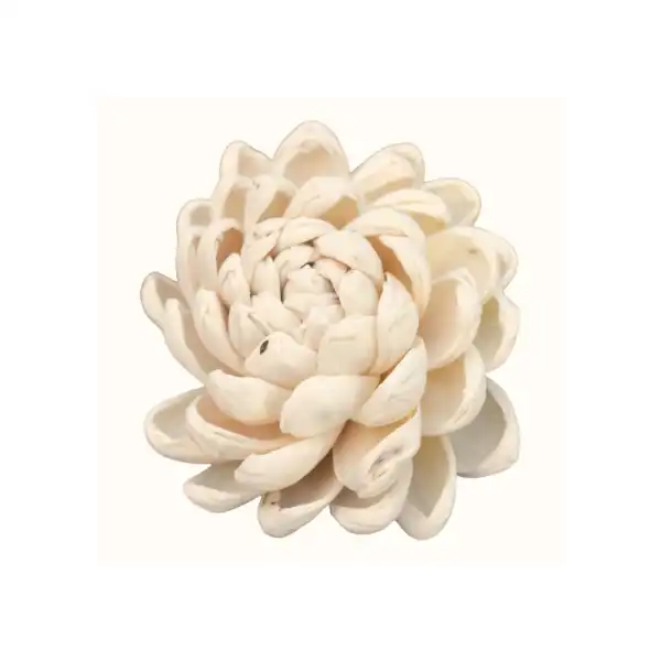 Sola curl beauty rose dry flowers for decorative crafts, floral décor, and eco-friendly gifting