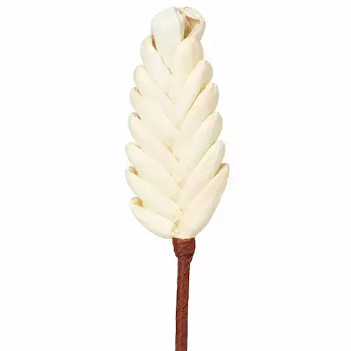Sola Wood Feather Stick for homedecor