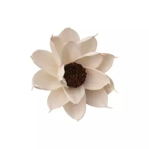 Sola flame daisy flower 8cm handmade natural sola wood flower