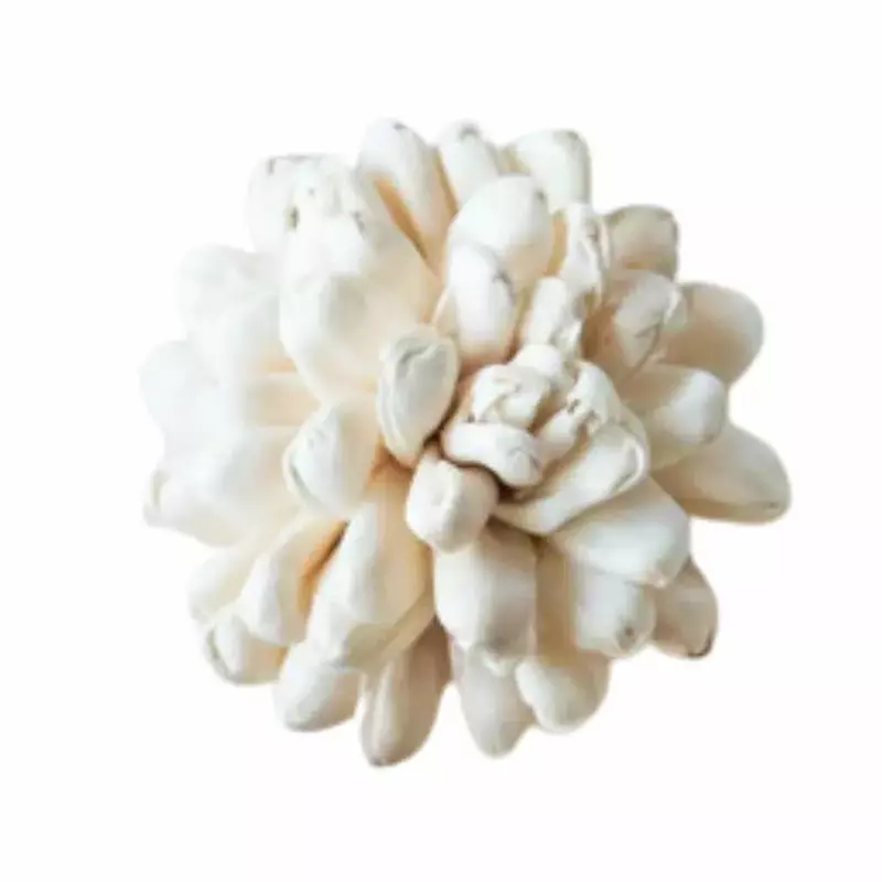 Handcrafted Sola Halo Flower with natural ivory petals for eco-friendly bouquets, décor, and crafts