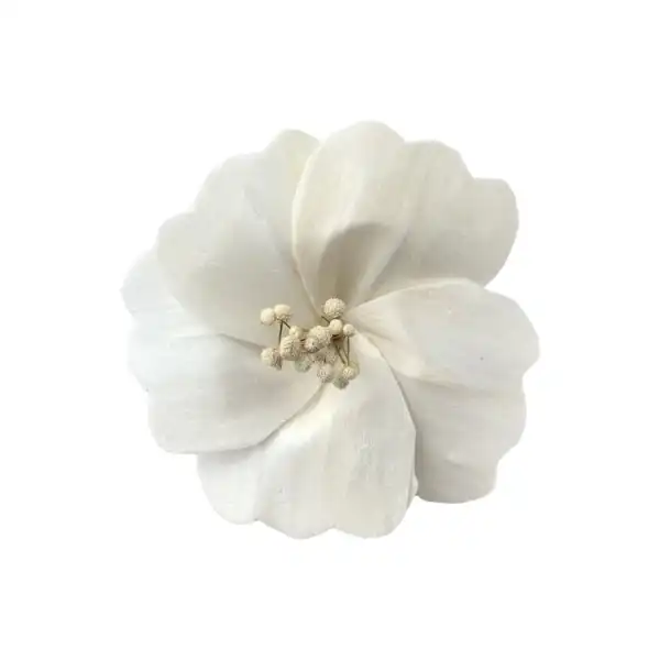 Sola Hibiscus Flower – handmade dry flower for decor by LeafnDeor