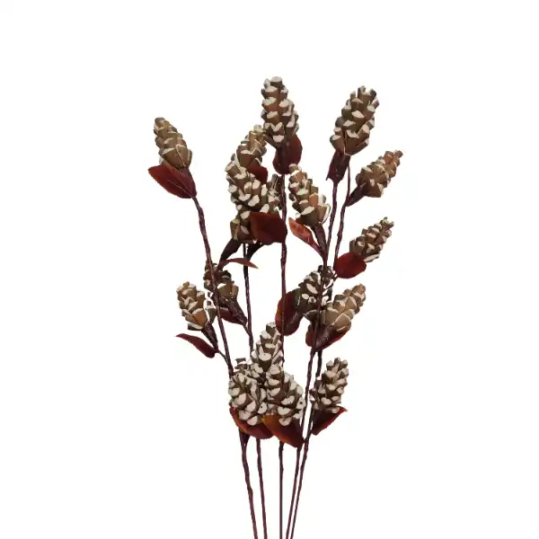 natural sola lattu pine dry flowers stick for long vase arrangements, eco décor, and floral crafts