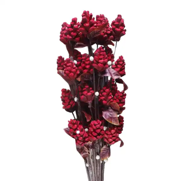 Red sola lattu pine dry flowers on stick for long vase arrangements, eco décor, and floral crafts