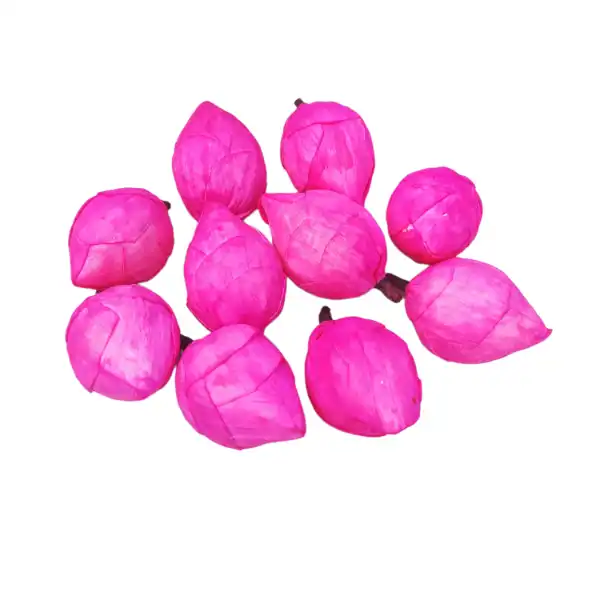 pink Colored sola lotus dry flowers for vibrant floral arrangements, decorative crafts