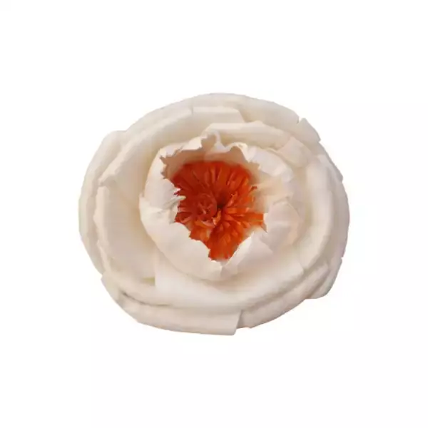 sola pollen peony flower with natural ivory finish for eco décor, bouquets, and craft projects