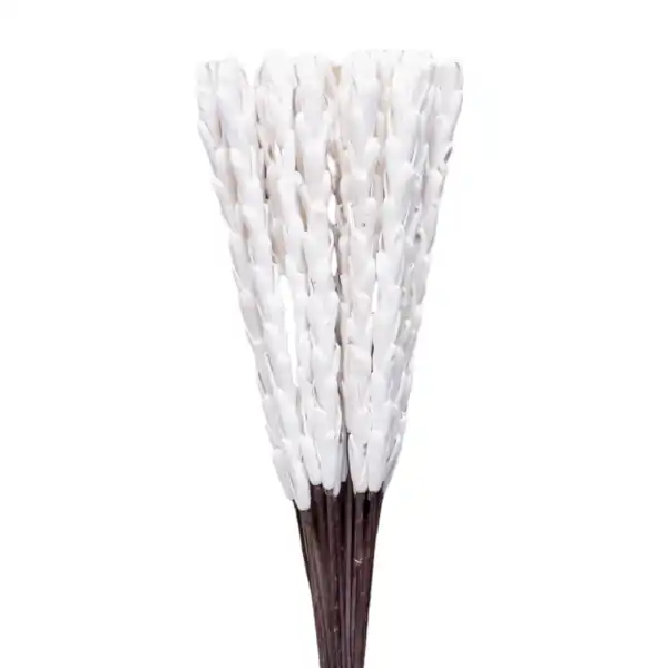 Sola Rajnigandha stick – elegant white sola flower stem for vase decor and boho floral arrangements