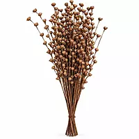Leafndeor Sola Sweet Rose Buds Sticks Brown Color for Boho Home Decor