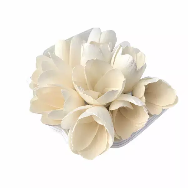 Handmade Sola Tulip Flower in 6cm & 8cm sizes for eco-friendly wedding bouquets and craft decoration