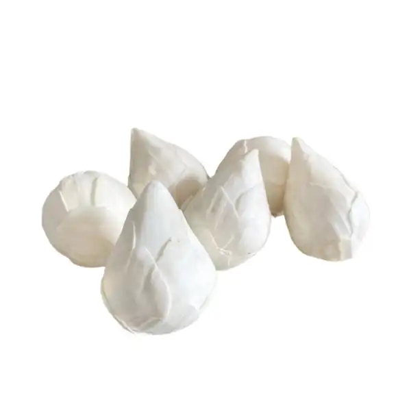 White sola lotus dry flowers for floral arrangements, eco crafts, and natural home decor